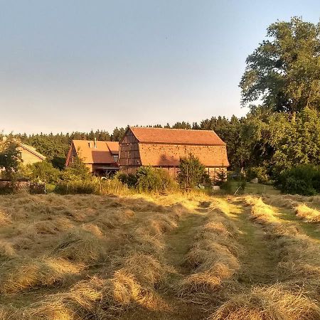 Ziegeleihof Inmitten Von Wiesen Und Waeldern Degenershausen Exteriör bild