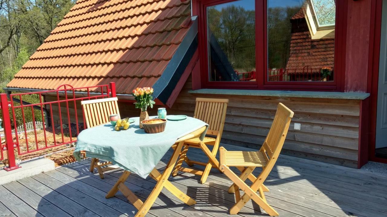 Ziegeleihof Inmitten Von Wiesen Und Waeldern Degenershausen Exteriör bild