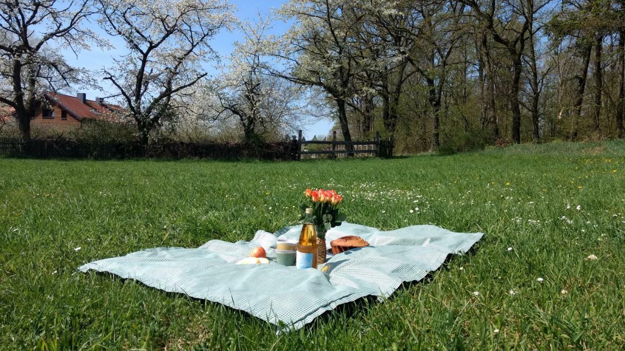 Ziegeleihof Inmitten Von Wiesen Und Waeldern Degenershausen Exteriör bild